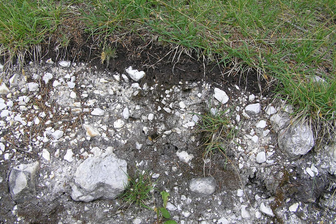 Boden des Jahres Rendzina NABU Düren