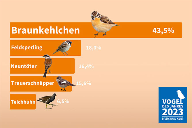 Vogel des Jahres 2023: Die Ergebnisse im Überblick - Grafik: NABU