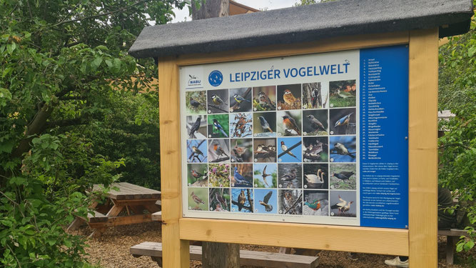 Die Leipziger Vogelwelt. Foto: NABU Leipzig