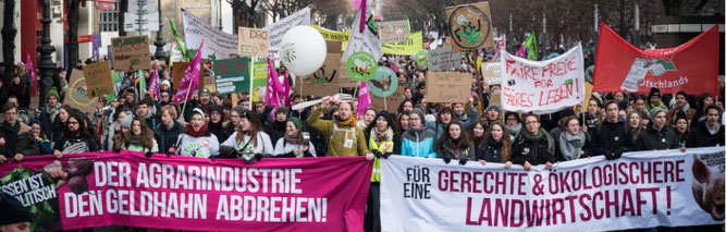 Foto: Nick Jaussi/wir-haben-es-satt.de