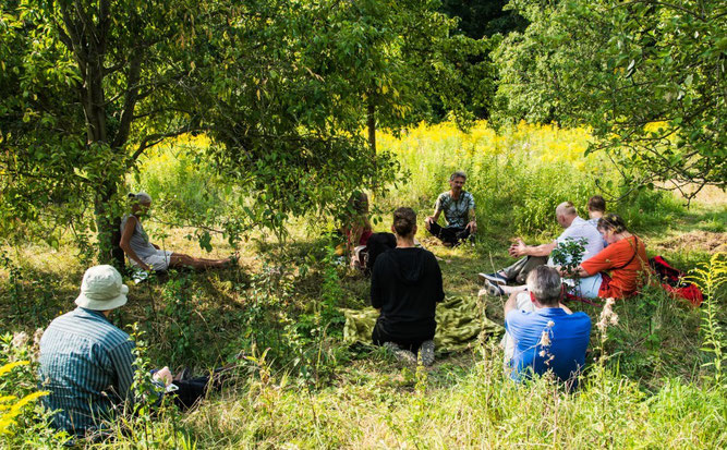 Heilkräuterinformationen im Schatten der Obstbäume. Foto: Ludo Van den Bogaert