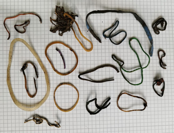 Gummisorten, die auf der Biokompostanlage gefunden wurden. Foto: NABU Leipzig