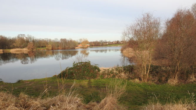 Stunde der Wintervögel im „Naturbad Nordost“. Foto: Beatrice Jeschke