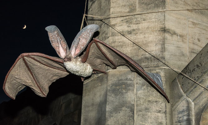 Abendstimmung auf dem Südfriedhof: Mond und riesige Fledermaus. Foto: Ludo Van den Bogaert