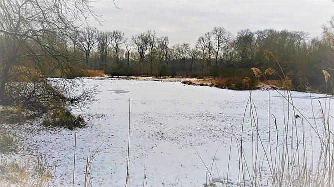 Schnee statt Wasser: Winter an den Papitzer Lachen. Foto: René Sievert