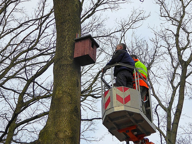 Foto: NABU Leipzig