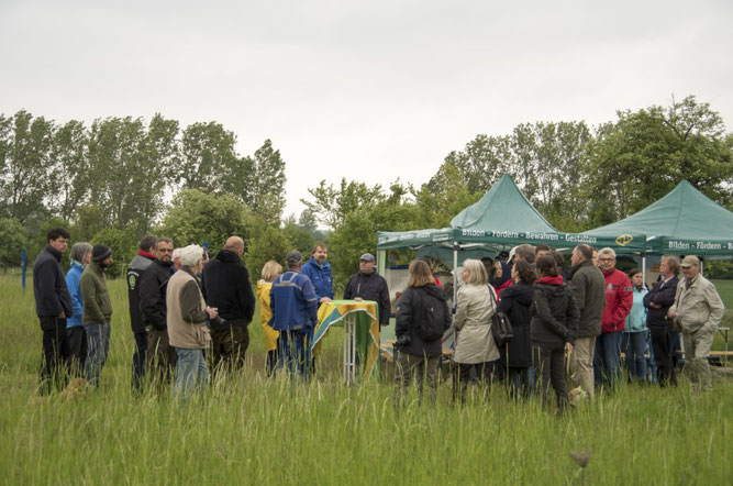 Festliche Eröffnung der Schmetterlingswiesensiason auf dem Biotop Plaußig. Foto: Ina Ebert