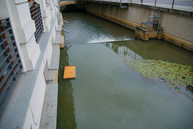 Rettungsinsel im Pleißemühlgraben. Foto: René Bauer