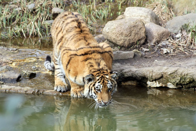 Foto: Zoo Leipzig