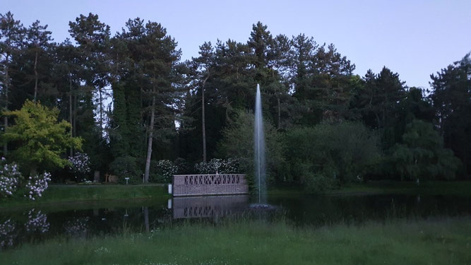 Wasser ist stets eine Bereicherung für einen Lebensraum. Auch der Teich auf dem Südfriedhof fördert die Biologische Vielfalt. Fledermäuse nutzen ihn, um über der Wasseroberfläche Insekten zu jagen. Foto: René Sievert