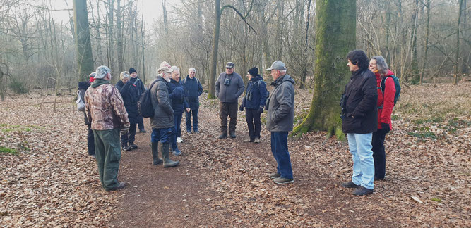Vogelwanderung mit Dr. Gerards im Buchholzer Wald - Foto NABU/Klaus Unland