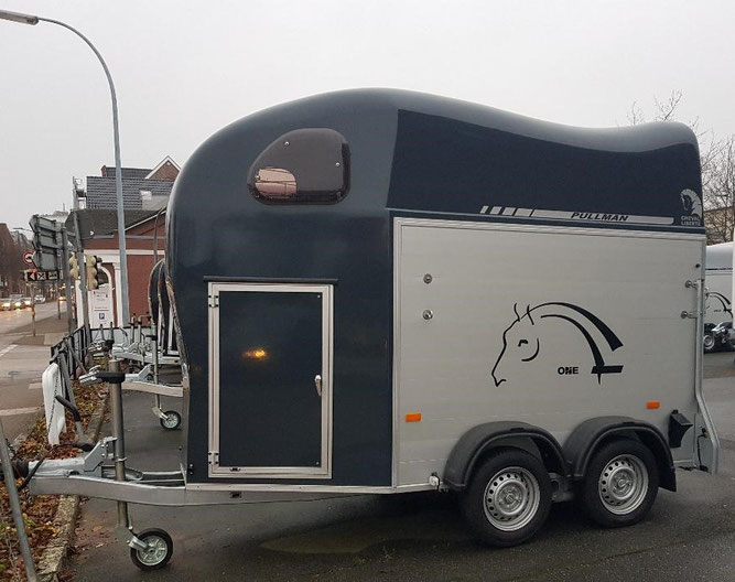 Bild: Cheval Liberté Gold Junior 1 1/2er