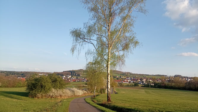 Kulturlandschaft bei Wallroth, Foto: NABU H. Berressem
