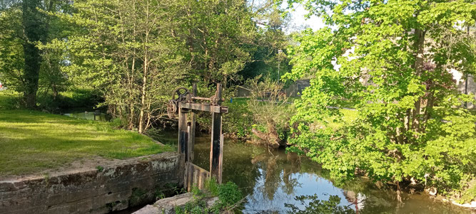 Wehr an der Mühlbergbrücke in Steinau, Foto: NABU H. Berressem