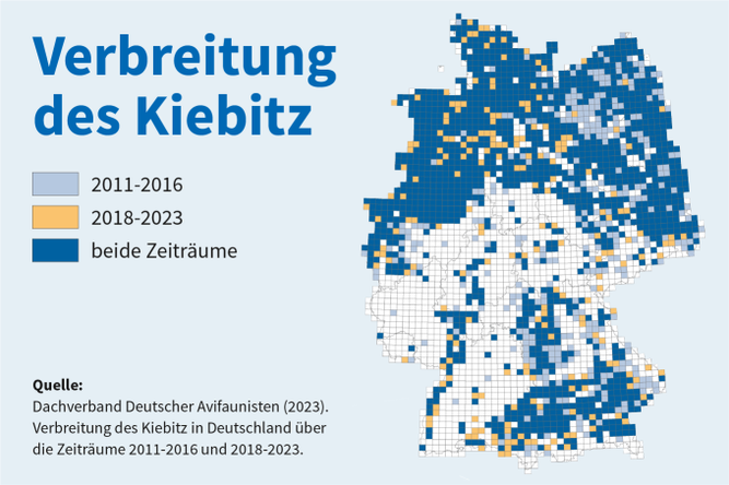 Vergleichskarte des Kiebitz-Bestands - Grafik: Rafael von Versen