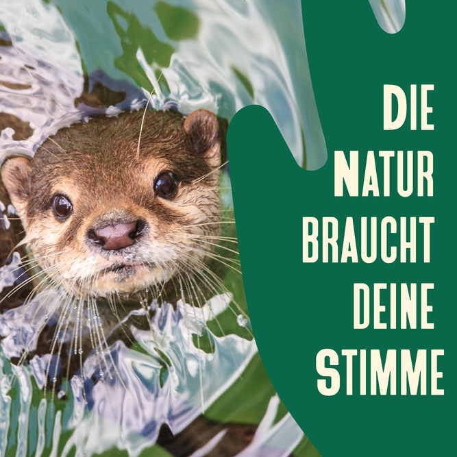 Foto: HandsOffNature