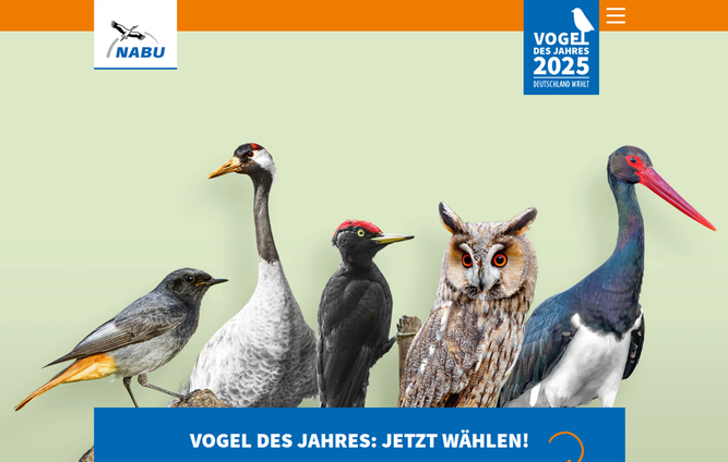 Hausrotschwanz, Kranich, Schwarzspecht, Waldohreule oder Schwarzstorch? - Sie bestimmen mit!