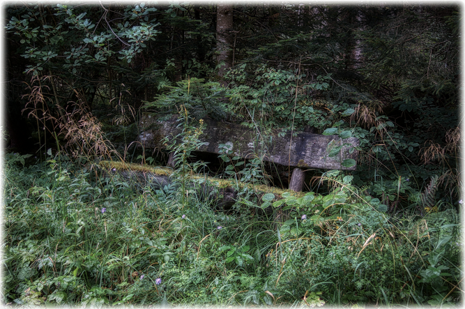 "Forgotten" - Die vergessene Waldbank