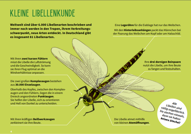 Foto: NABU Deutschland