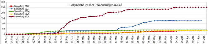 Bild: NABU Kaarst-Korschenbroich, Bergmolchwanderung 2022-2026