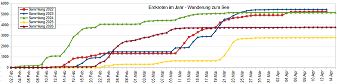 Bild: NABU Kaarst-Korschenbroich, Erdkrötenwanderung 2022-2026