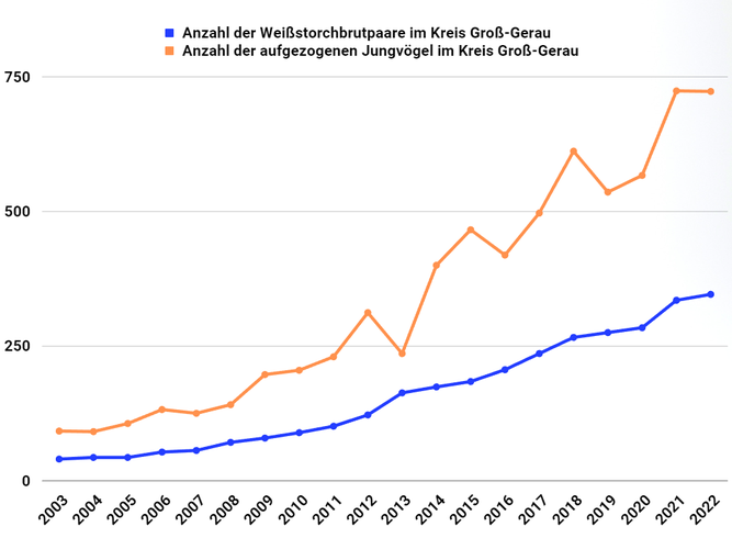 Entwicklung der Storchenpopulation im Kreis Groß-Gerau ab 2003
