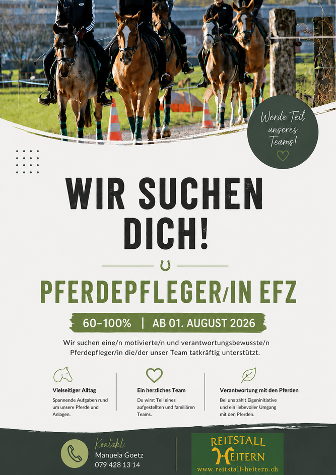Pferdepflegerin EFZ Pferdepfleger EFZ pferdejobs pferdebranche manuela goetz reitstall heitern