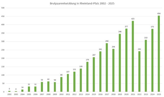 Brutpaarentwicklung des Bienenfressers in Rheinland-Pfalz