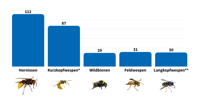 Fokus der Beratungen in 2025. *Gemeine Wespe, Deutsche Wespe **Mittlere Wespe, Sächsische Wespe, Norwegische Wespe, Waldwespe