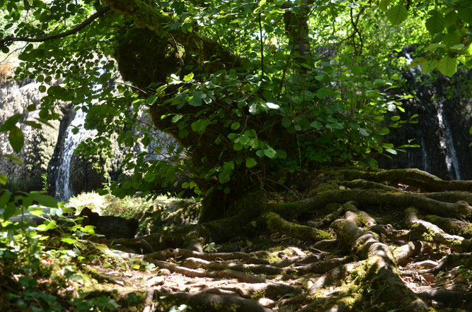 Jura, Juillet 2022