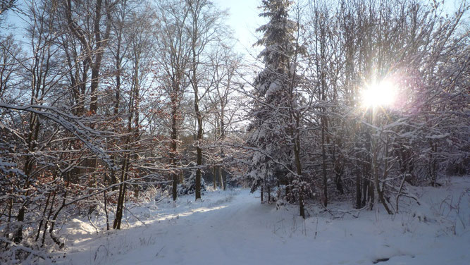 Winterlandschaft bei Boos