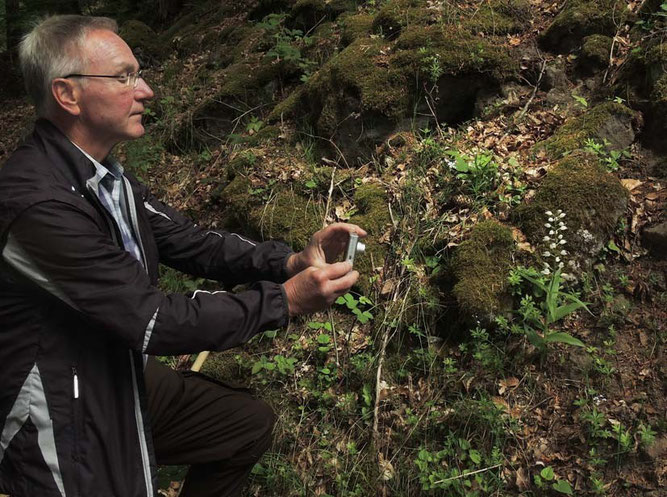 Stefan Frieb-Preis fotografiert ein Weißes Waldvögelein