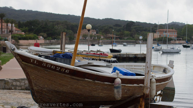 Le port de l'île de Porquerolles