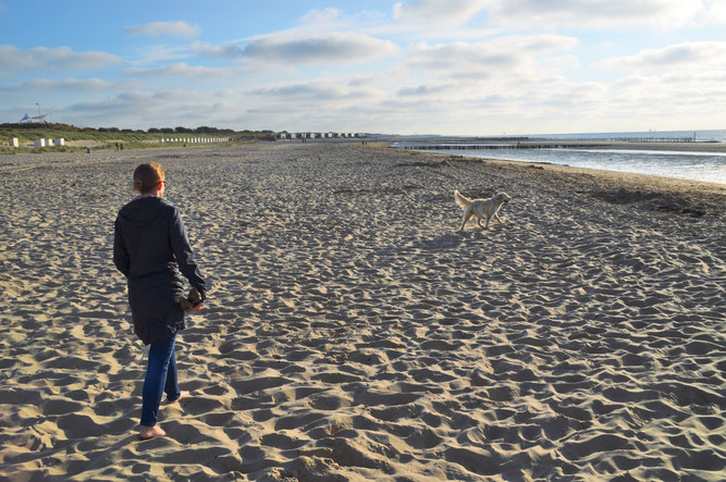 Hundestrand Hund Wasser Schwimmen Strand Meer