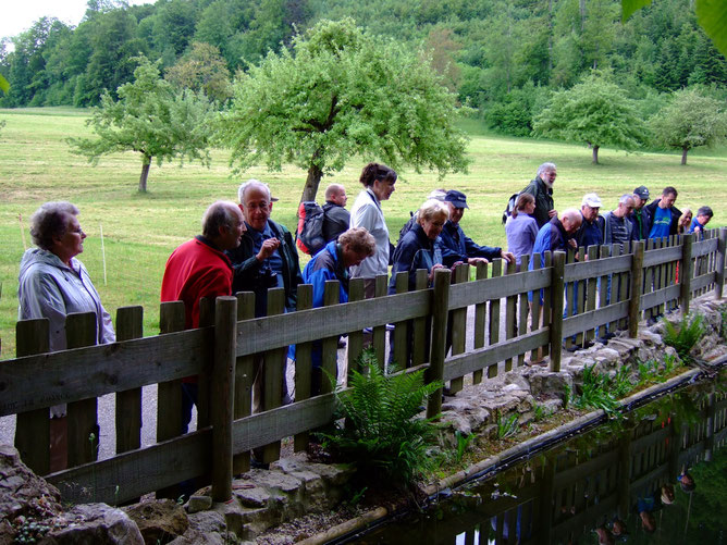 Aubachweiher