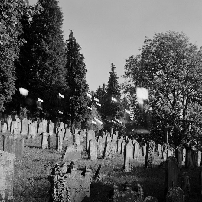 Leben nach dem Tod