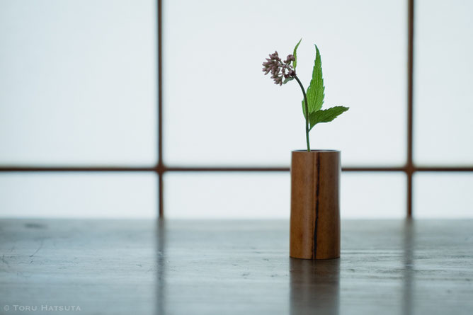 煤竹茶巾筒に藤袴を入れる(竹工芸家 初田徹 作)
