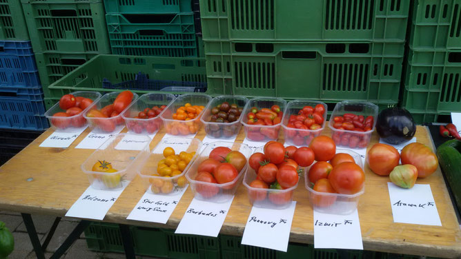 Tomaten von gelb bis schwarz