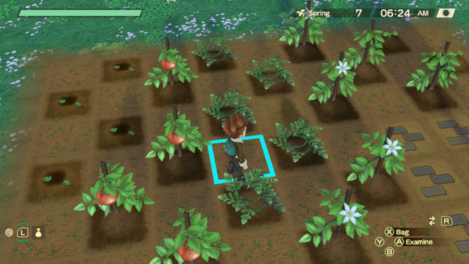 Game screenshot showing player in their crop field.