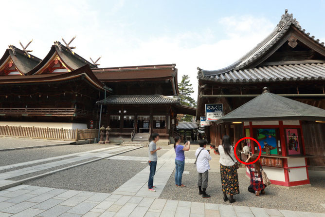 1灯で 招き猫 を撮る 神社にいる 招き猫 金友写真店 1灯で 招き猫 を撮る 神社にいる 招き猫 金友写真店
