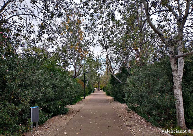 La arboleda del parque de Marxalenes está organizada en paseos con nombres dedicados a diferentes árboles, como la palmera, el algarrobo, el olivo, el roble, el fresno, el olmo, la carrasca, el chopo, el pino y el Sauce