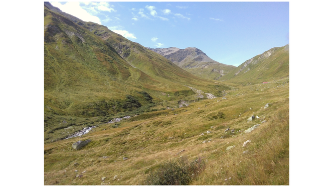 Schweizer Berge Dampfbahn