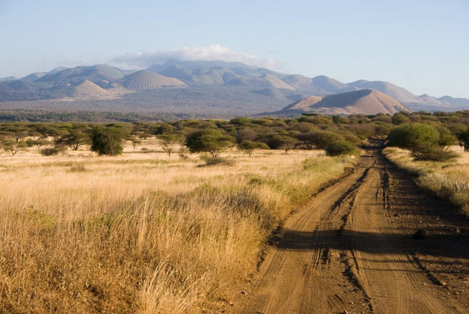 Bron: https://www.rondreis.nl/rondreis-kenia/tsavo-national-park/