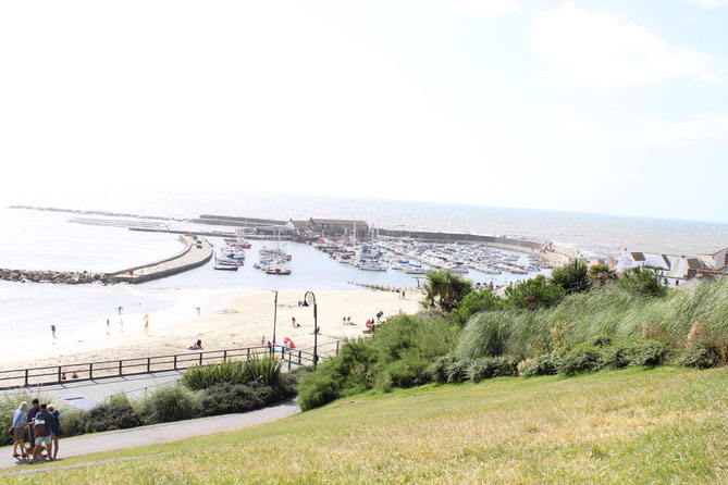 Blick über den Hafen von Lyme Regis