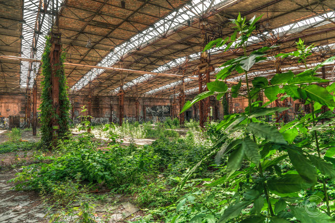 ABandoned Cable Production Factory in Berlin | Kabelwerk Köpenick