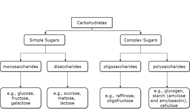 Carbohydrate tree diagram