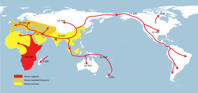 Der Weg des Modernen Menschen (Homo Sapiens)