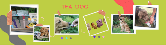 Tee-Schnüffeln, Hundeschule, Beschäftigung, Geruchsdifferenzierung, ZOS, Mantrailing, Suchhund, Hundetraining, Auslastung