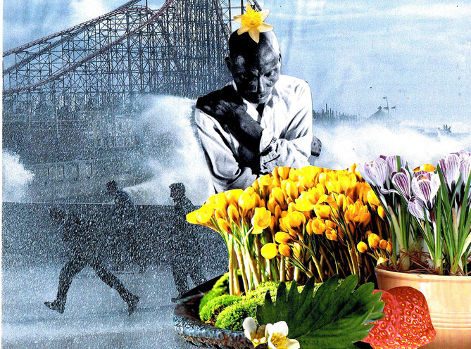Collage by Shelley Klammer