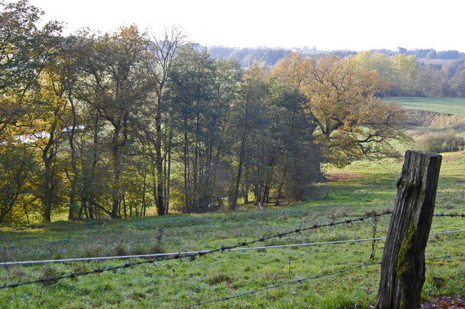 Das Trave-Tal bei Klein Gladebrügge